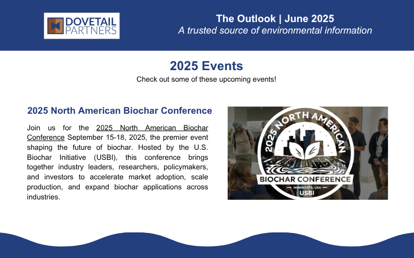 The Outlook | June 2025